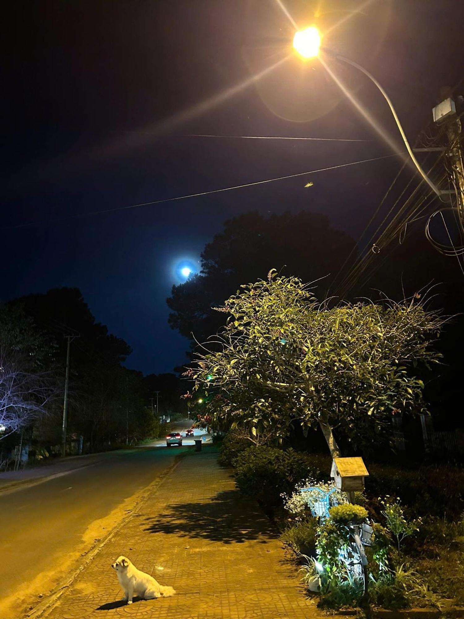Chino Homestay Mang Den - Villa Tai Mang Den Kon Tum Екстер'єр фото