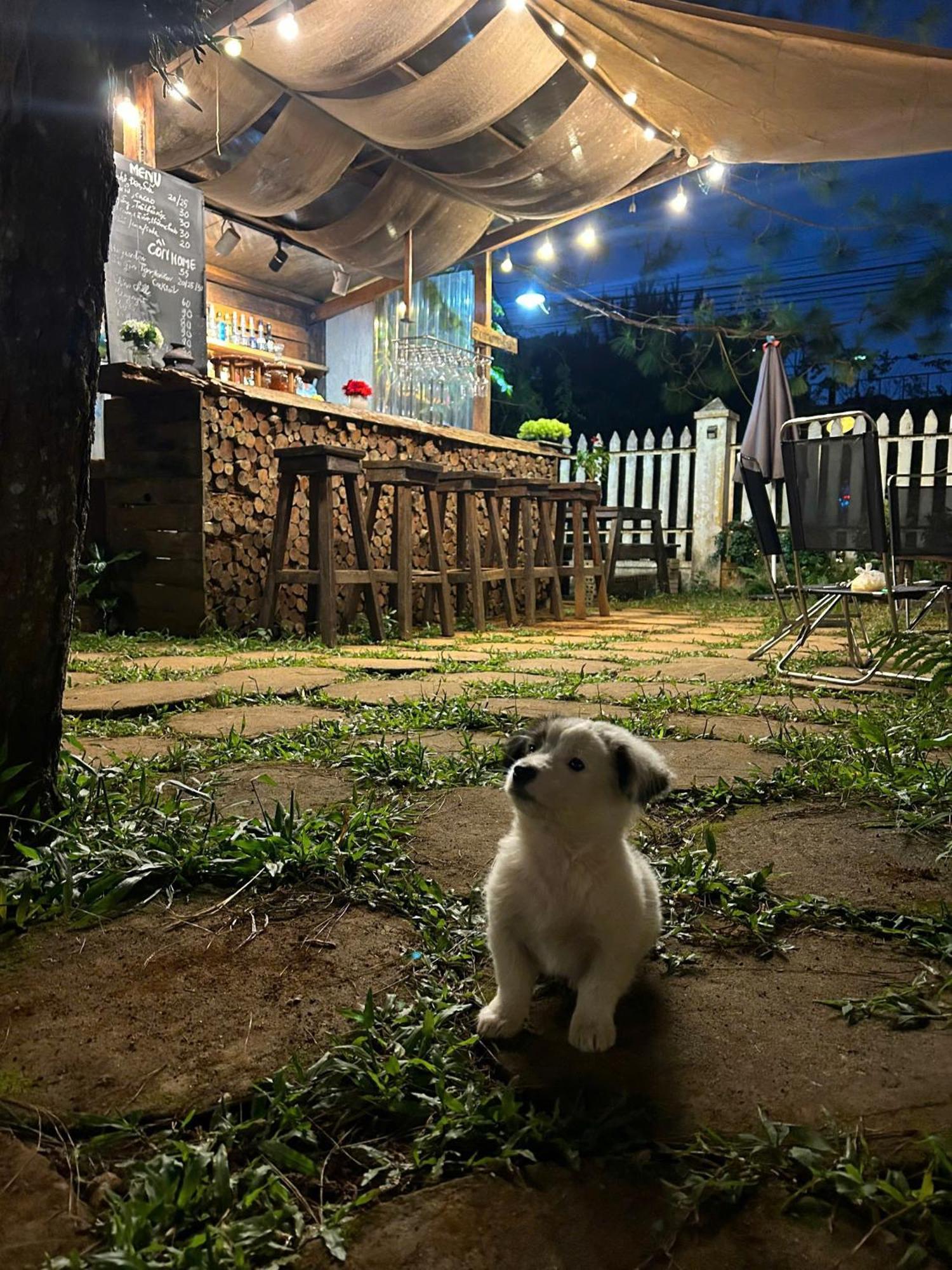 Chino Homestay Mang Den - Villa Tai Mang Den Kon Tum Екстер'єр фото